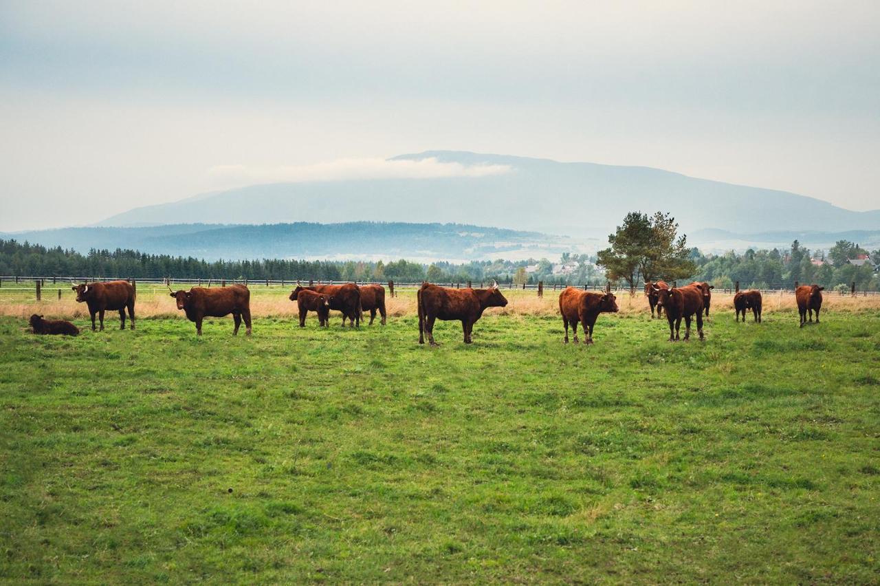 Zajazd Chyzne Bagian luar foto